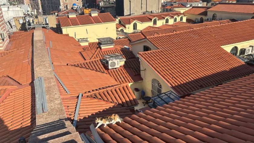 Konak Çatı Onarımı Çatı Tamir Ustası Her Türlü Çatı İşleri